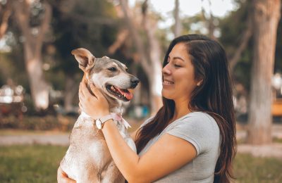 How Do I Know If My Dog Likes Daycare?