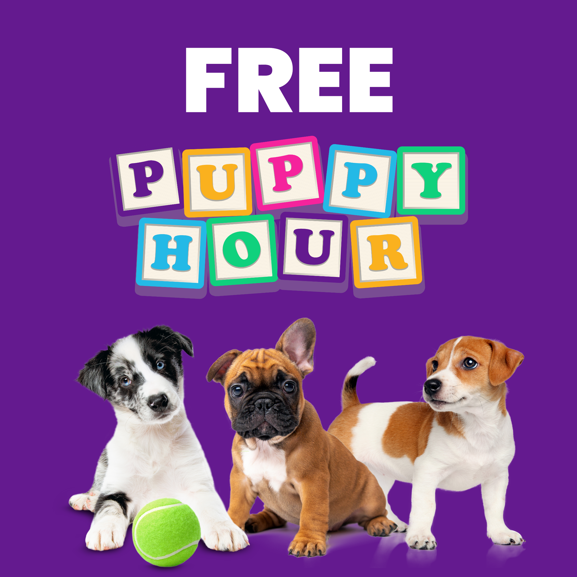 FREE Puppy Hour
