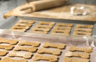 Peanut Butter and Pumpkin Dog Treats