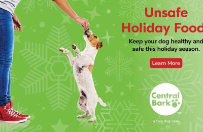 Unsafe Holiday Foods