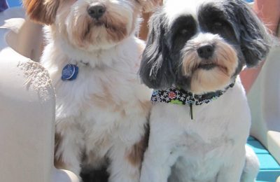 Congrats, Jazz & Rosie!