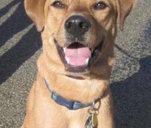 Congratulations Bailey!