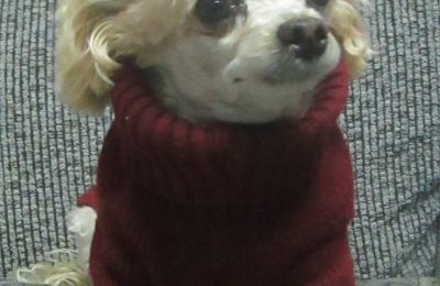 Congratulations Sasha!