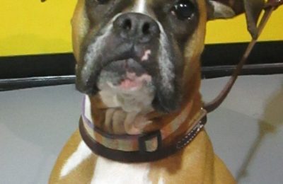 Congratulations Rosie!