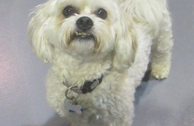 Congratulations Lucy Bear!