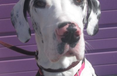 Congratulations Mabel!