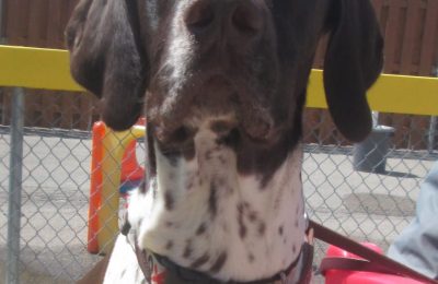 Congratulations Ozzie!