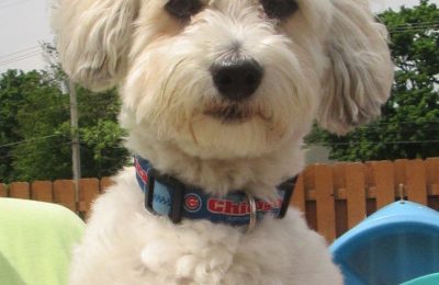 Congratulations Wrigley!