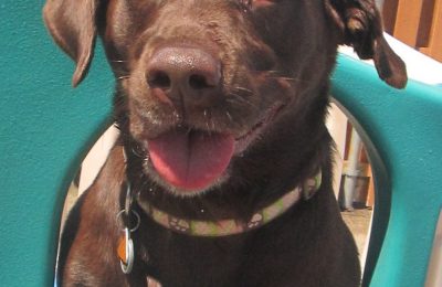 Congratulations Bella!