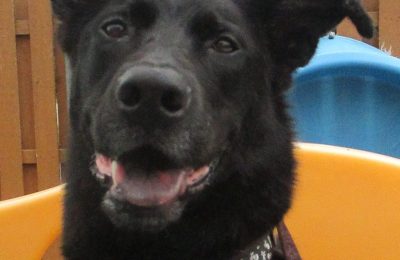 Congratulations Flynn!