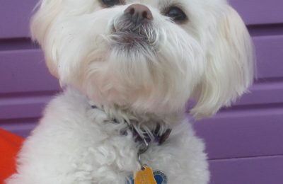 Congratulations Cooper!