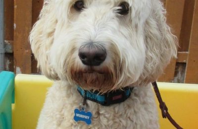 Congratulations Murphy!