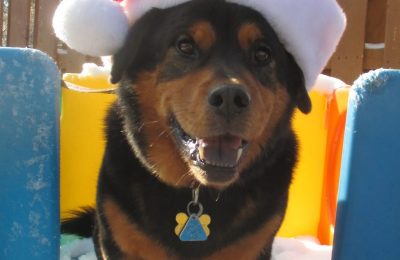 Congratulations Wayne!