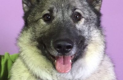 Congratulations Rocky!