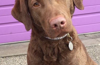 Congratulations Phoebe!