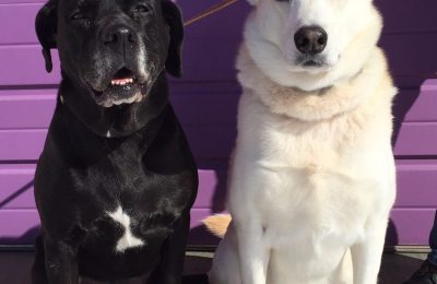 Congratulations Maddie & Maxine!