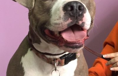 Congratulations Lulu!