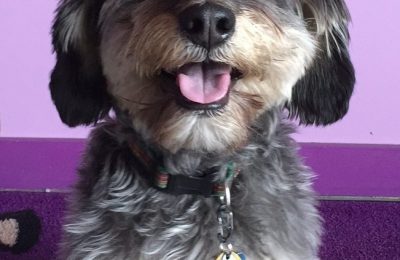 Congratulations Huck!