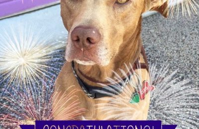 Congratulations Cleo!