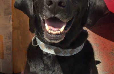 Congratulations Hurley!