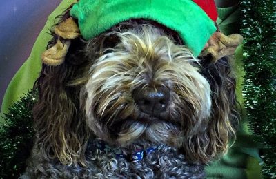 Congratulations Natalie!