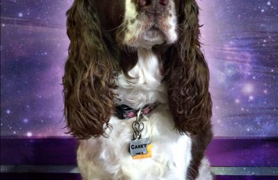 Congratulations Casey!