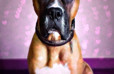 Congratulations Norman!