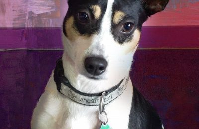 Congratulations Buddy!