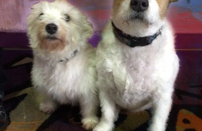 Congratulations Chloe and Midge!