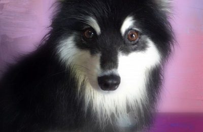 Congratulations Faith!