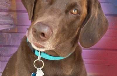 Congratulations Boone!