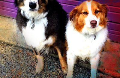 Congratulations Penelope and Fresca!