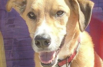 Congratulations Berkley!