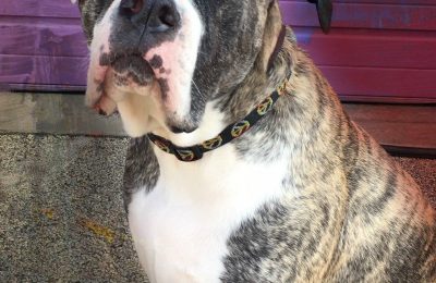 Congratulations Muddy!