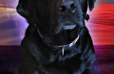 Congratulations Gordy!