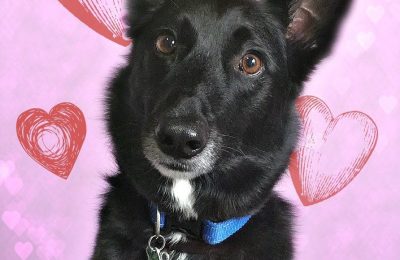 Congratulations Bailey!