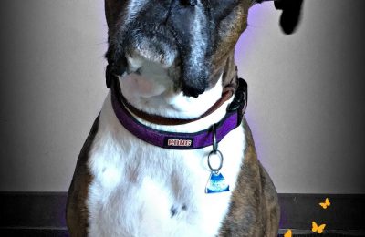 Congratulations Daisy!