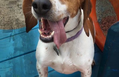 Congratulations Piper!