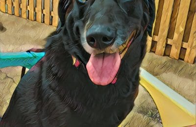 Congratulations Max!