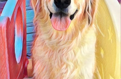 Congratulations Rose!