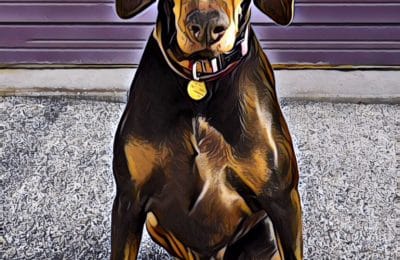 Congratulations Phoenix!