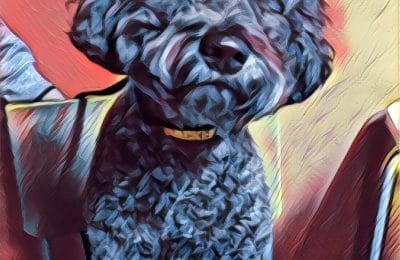 Congratulations Curley!