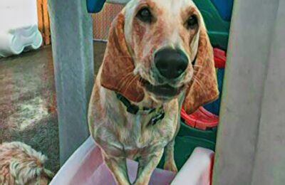 Congratulations Kili!