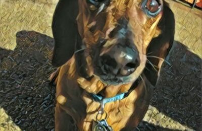 Congratulations Ozzie!