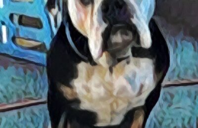 Congratulations Theodore!