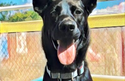 Congratulations Pepper!