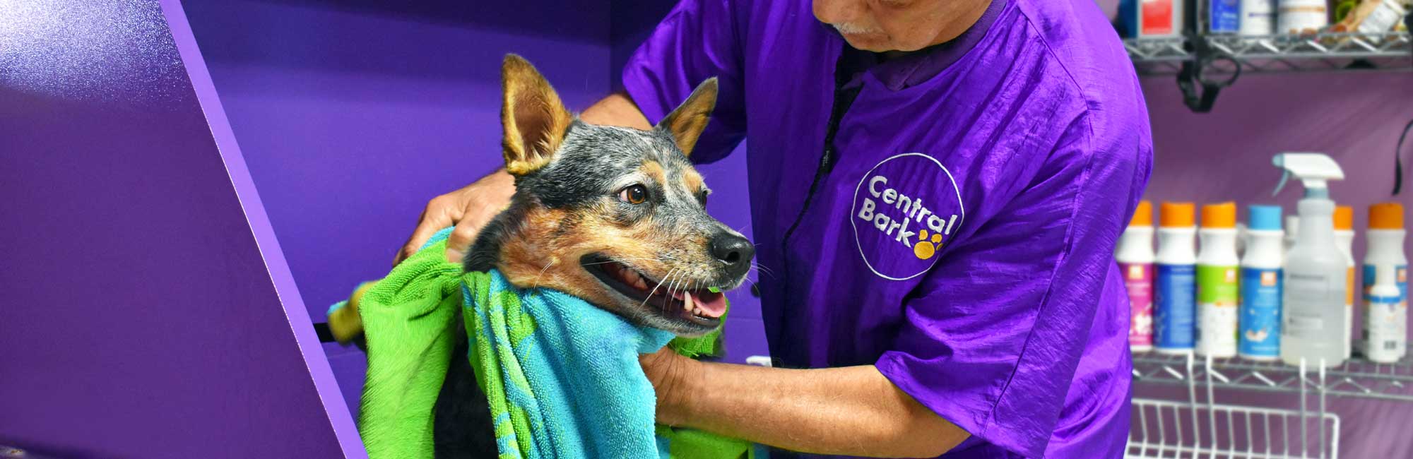 dog grooming in Grayslake