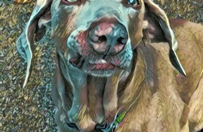 Congratulations Charlie!