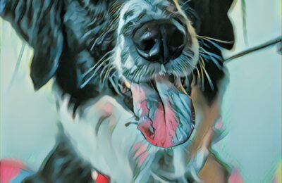 Congratulations Dasher!