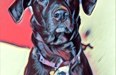 Congratulations Belle!